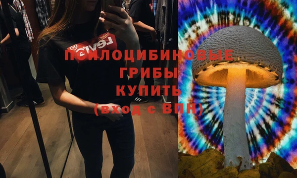 первитин Алексеевка