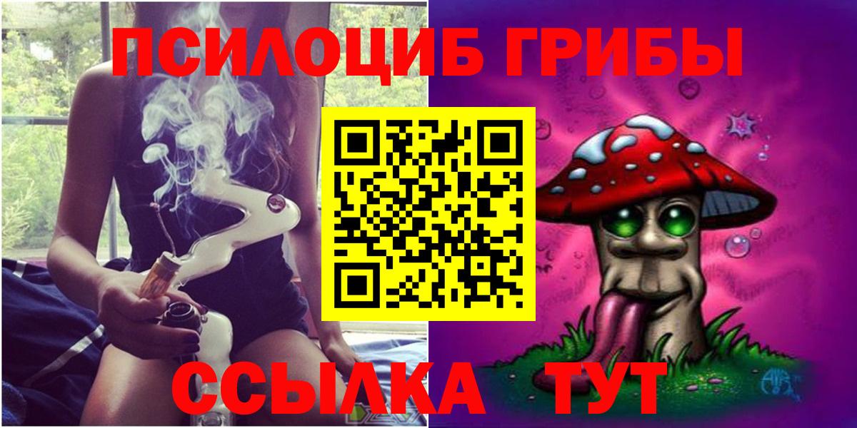 Шадринск  наркотики  Вход с VPN  Галлюциногенные грибы Psilocybe 